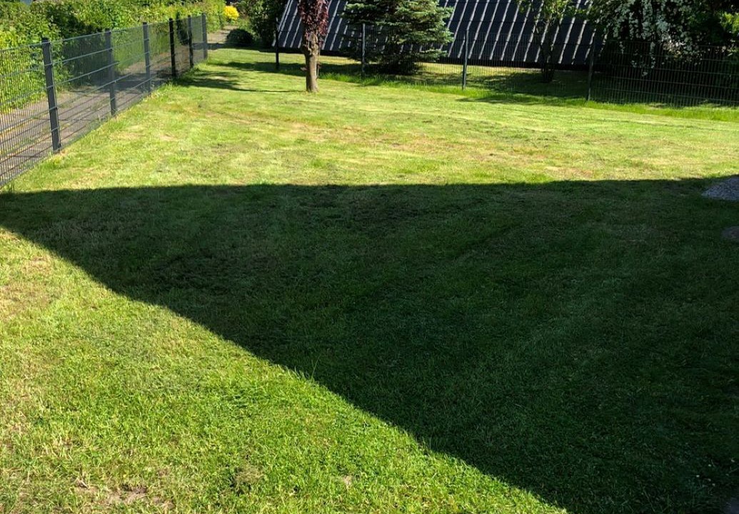 Photo of Outdoor in Damp