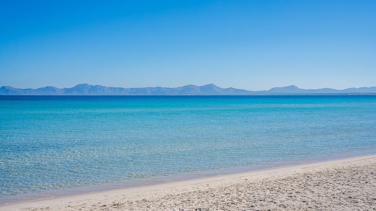 Photo of Others in Alcudia