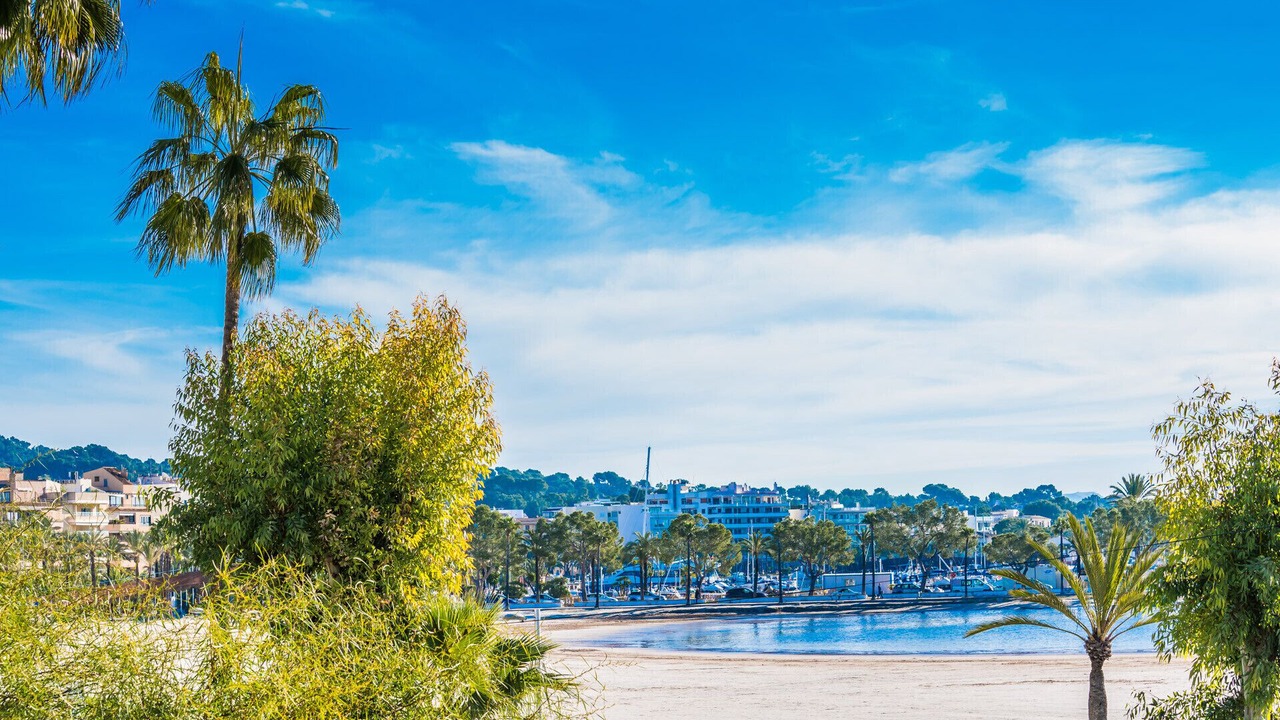 Photo of Others in Alcudia