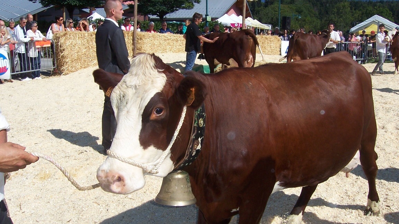 Photo of Others in Thollon-les-Memises