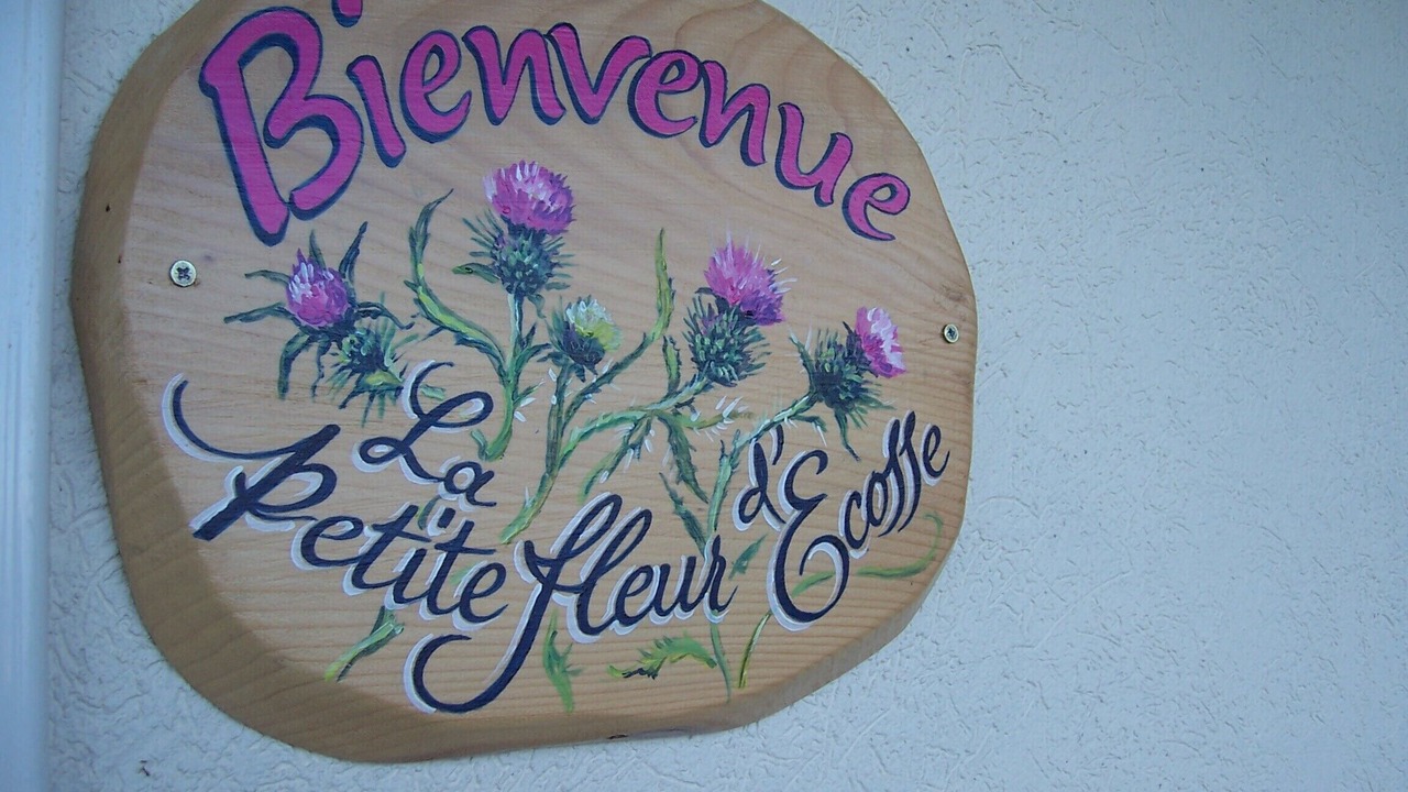 Photo of Others in Thollon-les-Memises