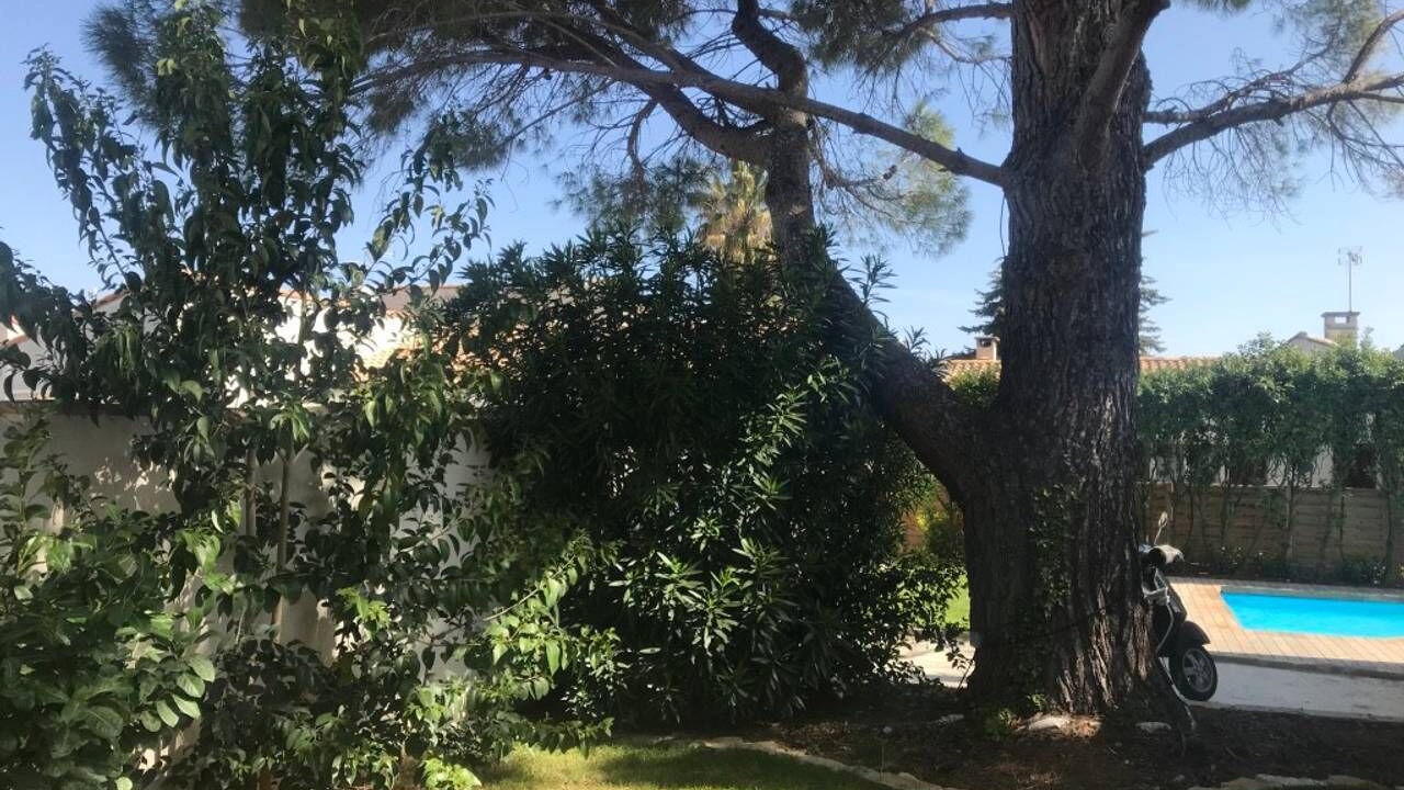 Photo of Outdoor in Milhaud
