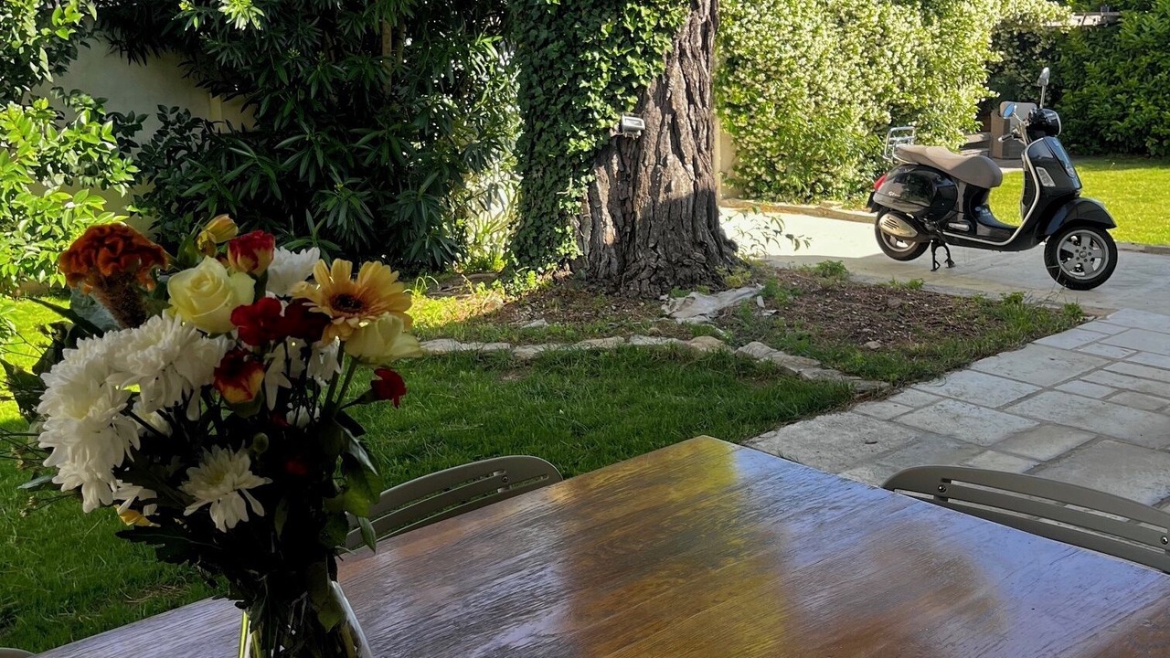 Photo of Outdoor in Milhaud