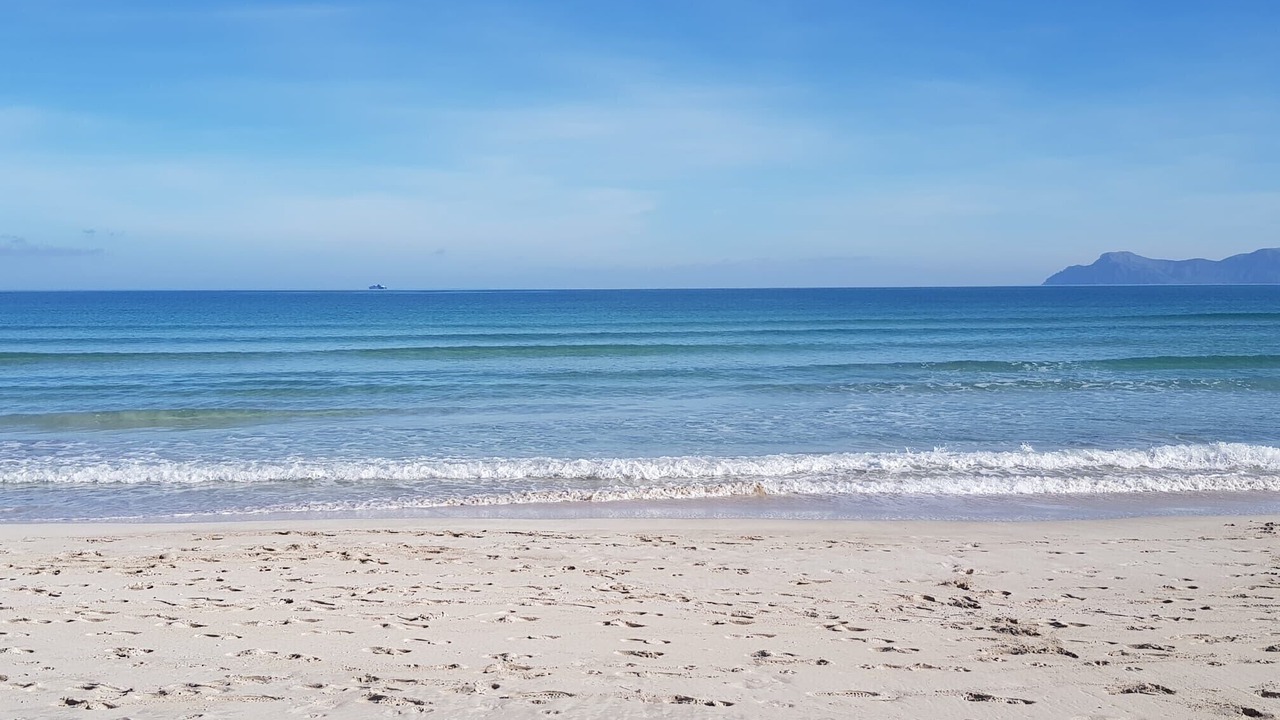 Photo of Others in Alcudia