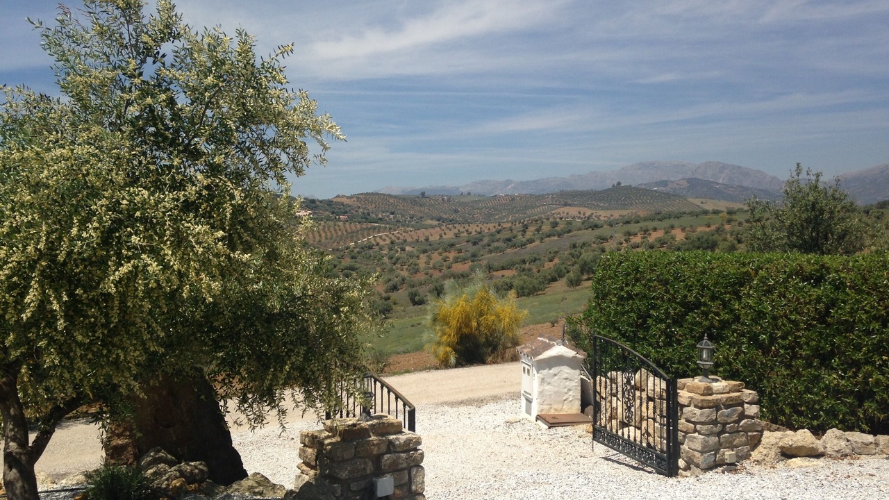 Photo of Outdoor in Vinuela