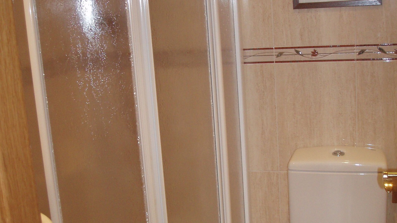 Photo of Bathroom in Benasque