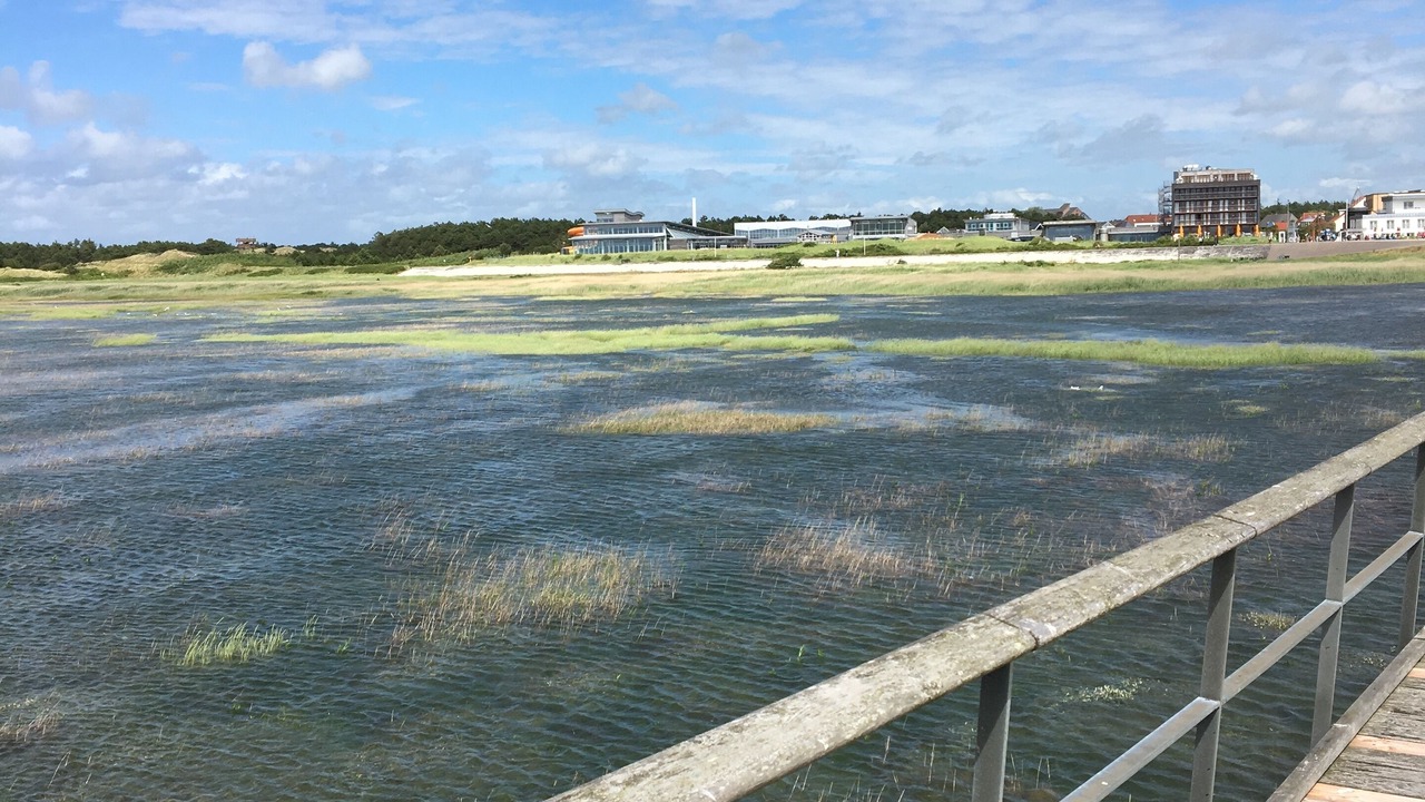 Photo of Others in Vollerwiek