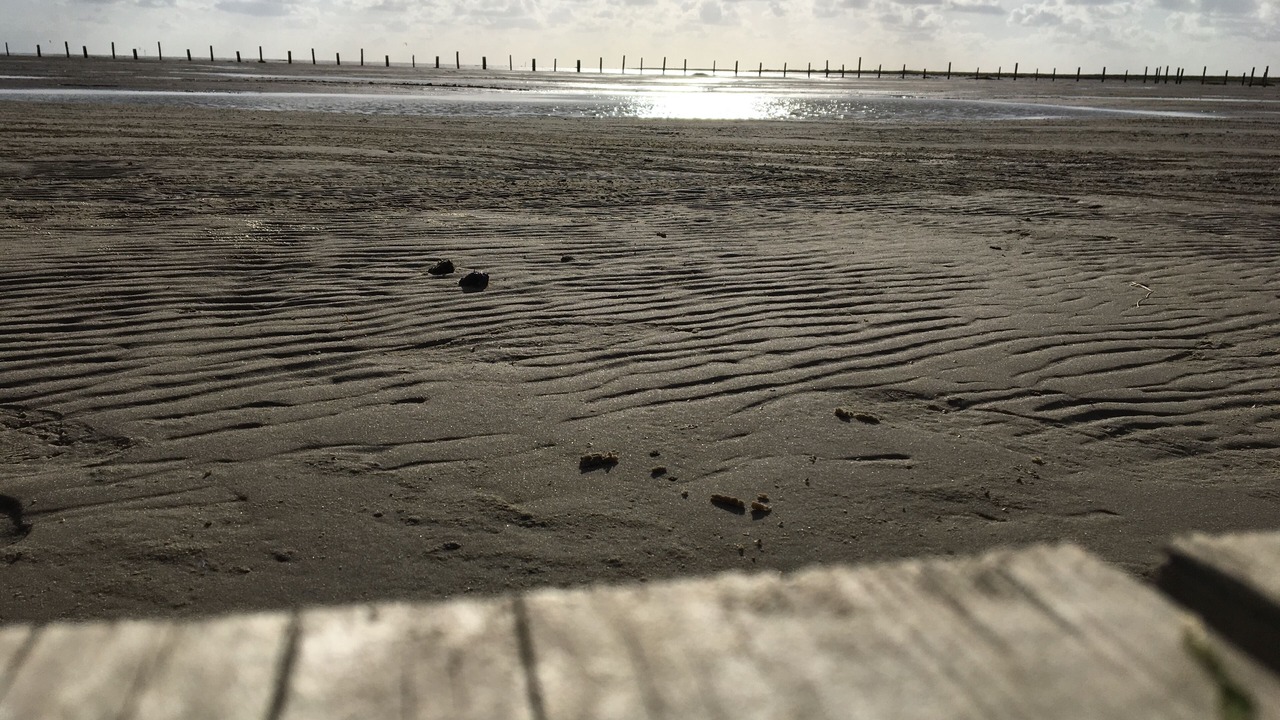 Photo of Others in Vollerwiek