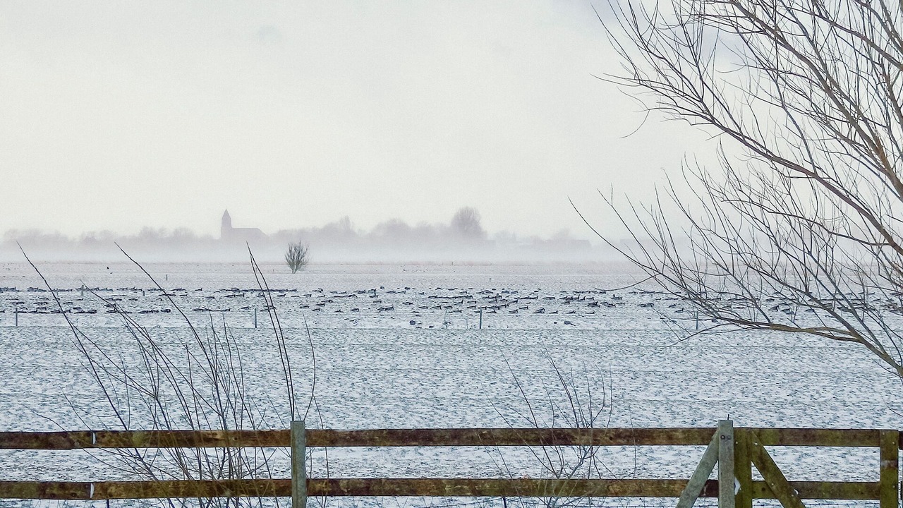 Photo of Others in Uelvesbull