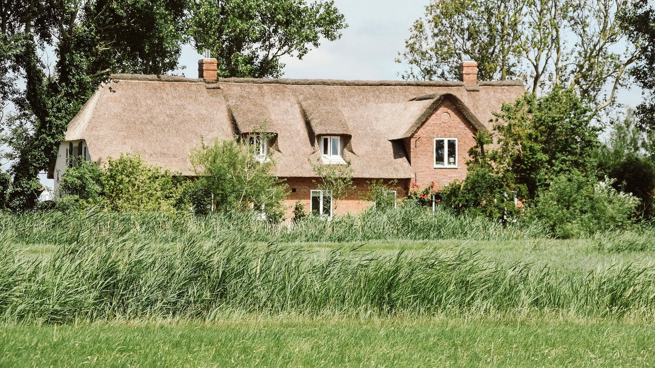 Photo of Outdoor in Uelvesbull