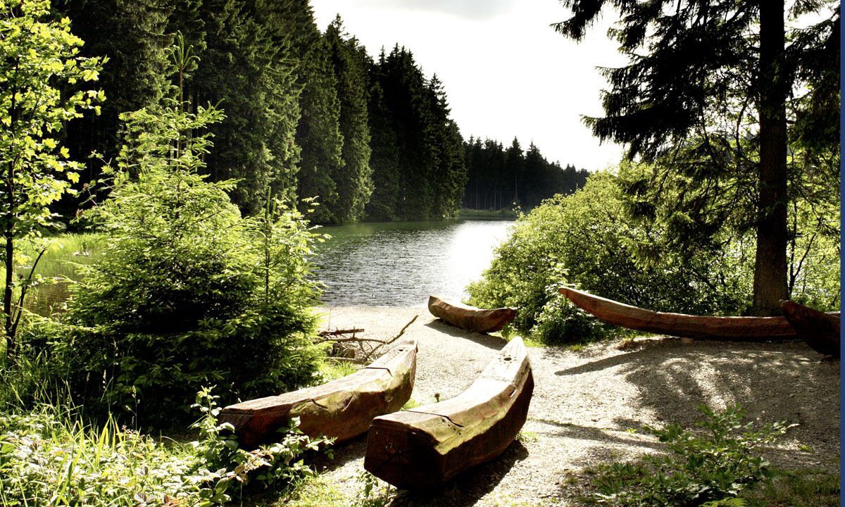 Photo of Outdoor in Hahnenklee
