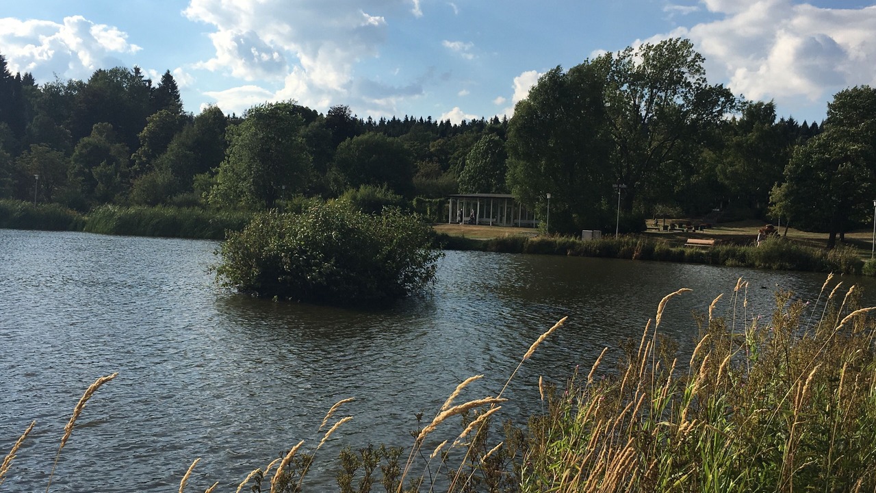 Photo of Outdoor in Hahnenklee