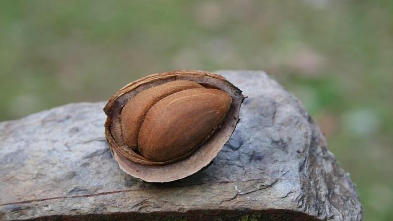Photo of Outdoor in Fresnedoso de Ibor