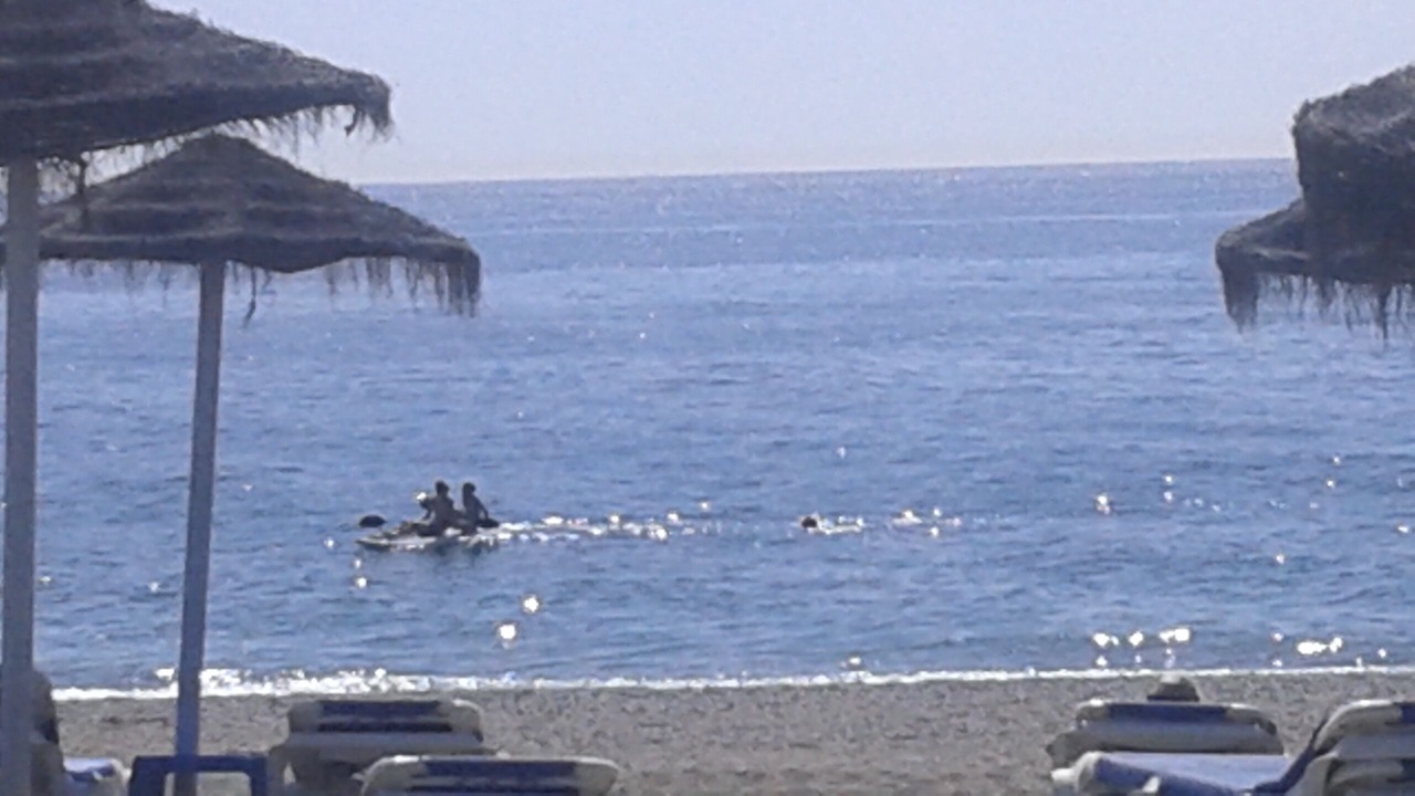 Photo of Others in Alcorrin