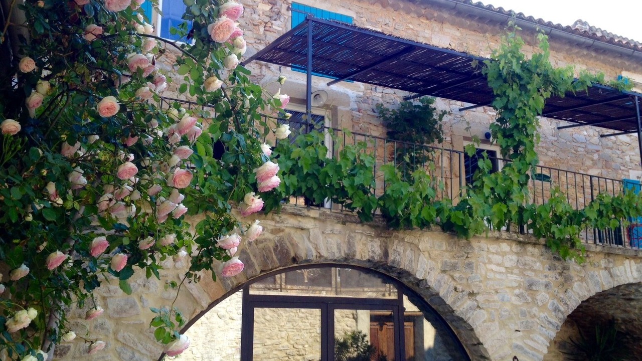 Photo of Outdoor in Saint-Jean-de-Ceyrargues