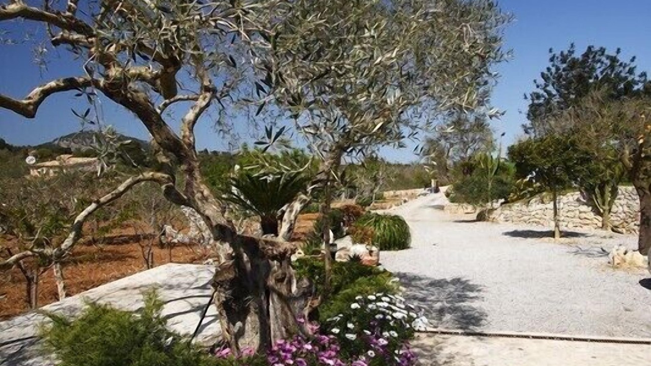 Photo of Outdoor in Pollensa
