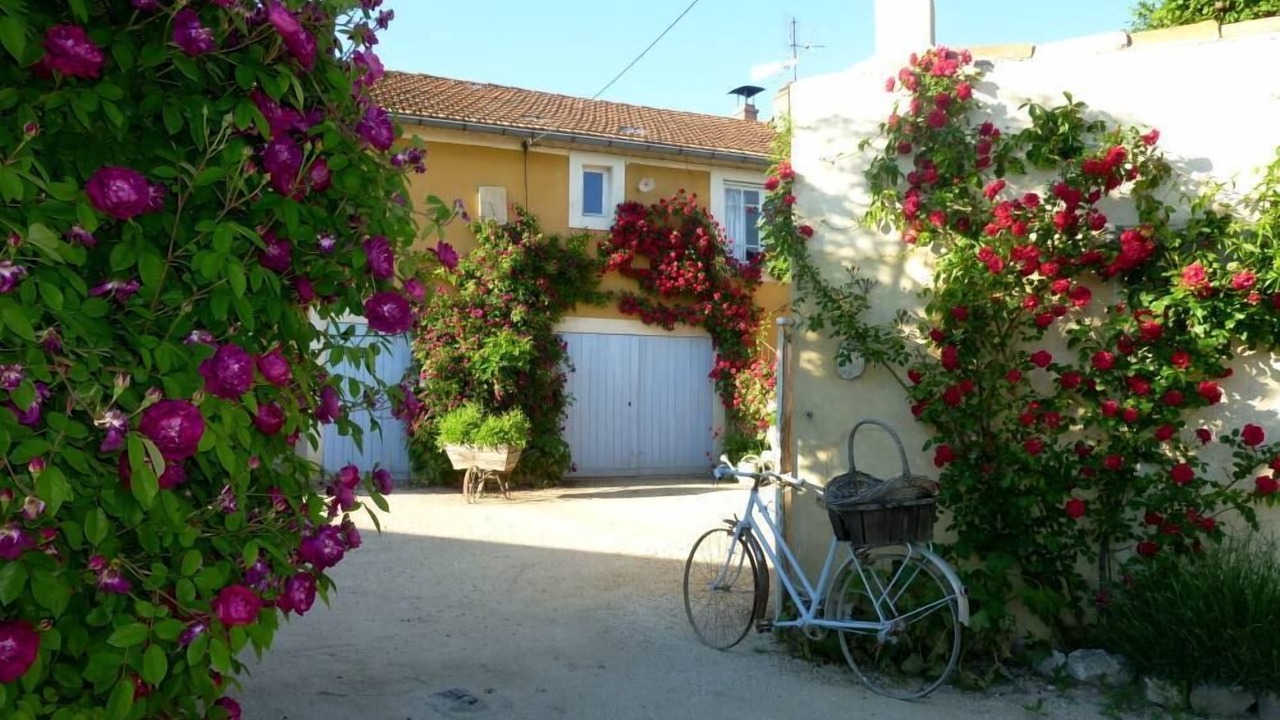 Photo of Outdoor in Gargas