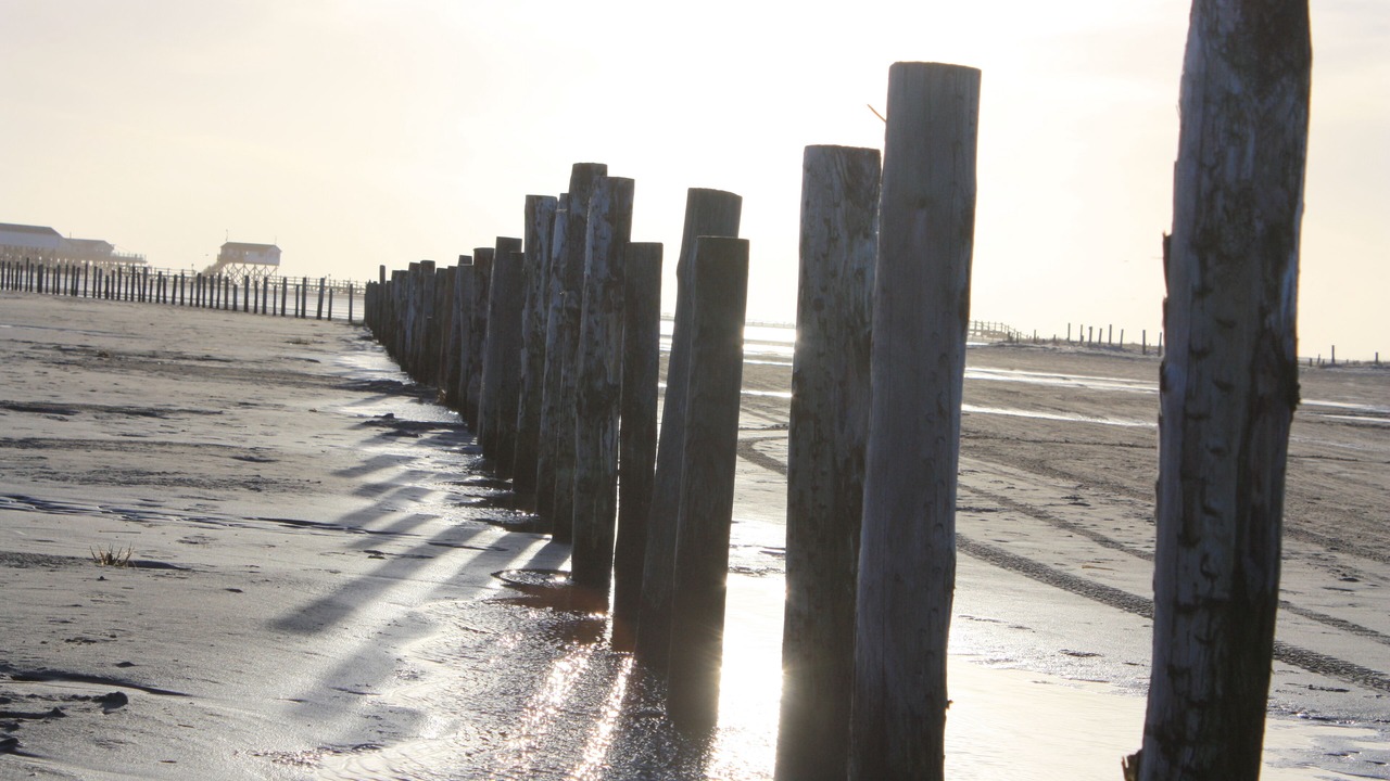 Photo of Others in Vollerwiek