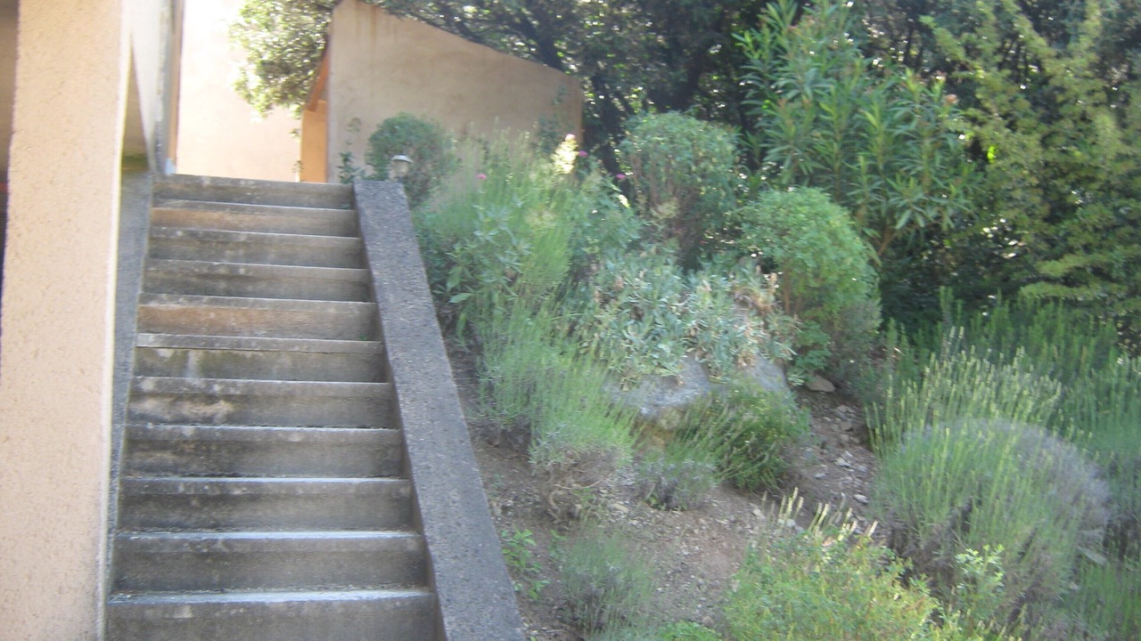 Photo of Outdoor in Paradou