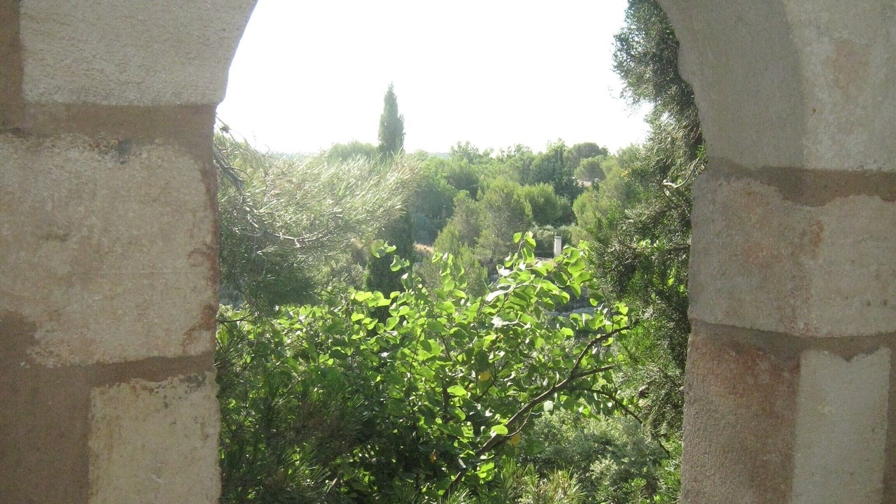 Photo of Others in Paradou