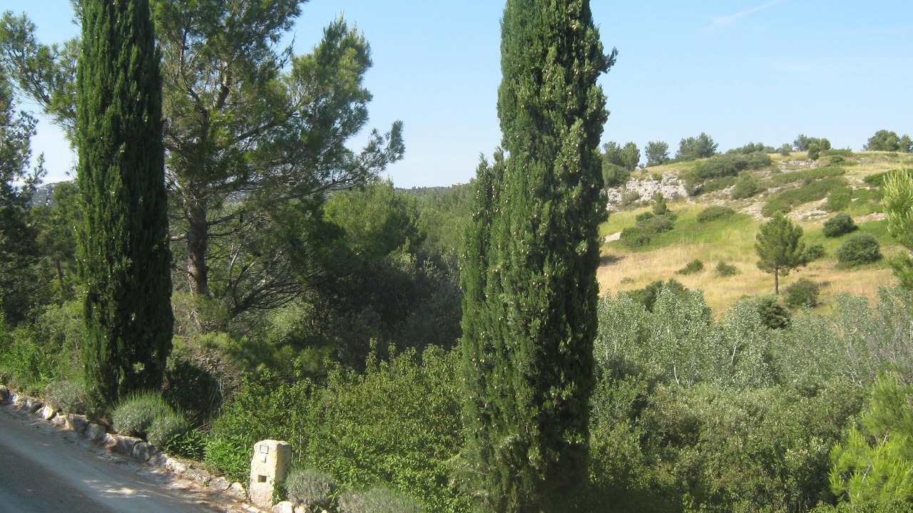 Photo of Others in Paradou