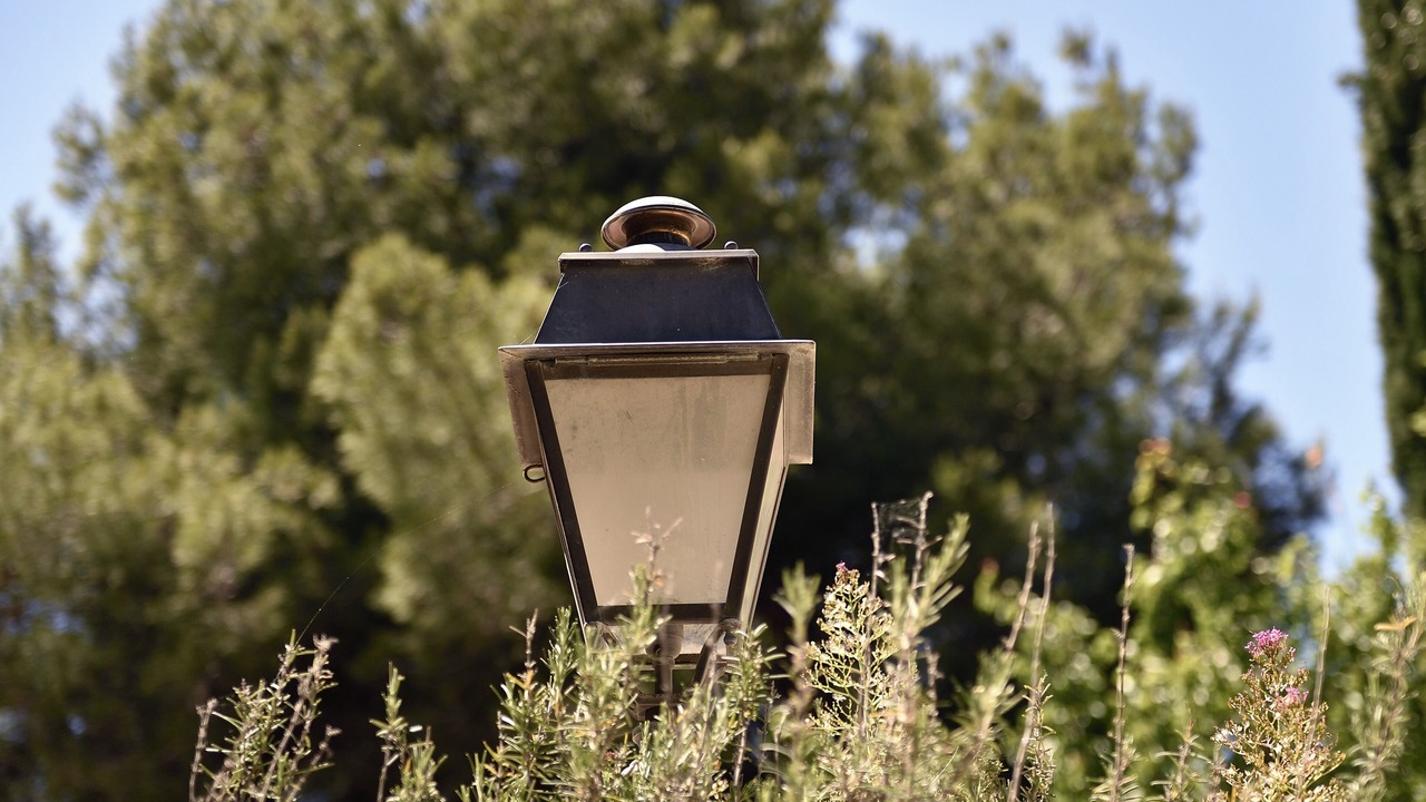Photo of Outdoor in Paradou