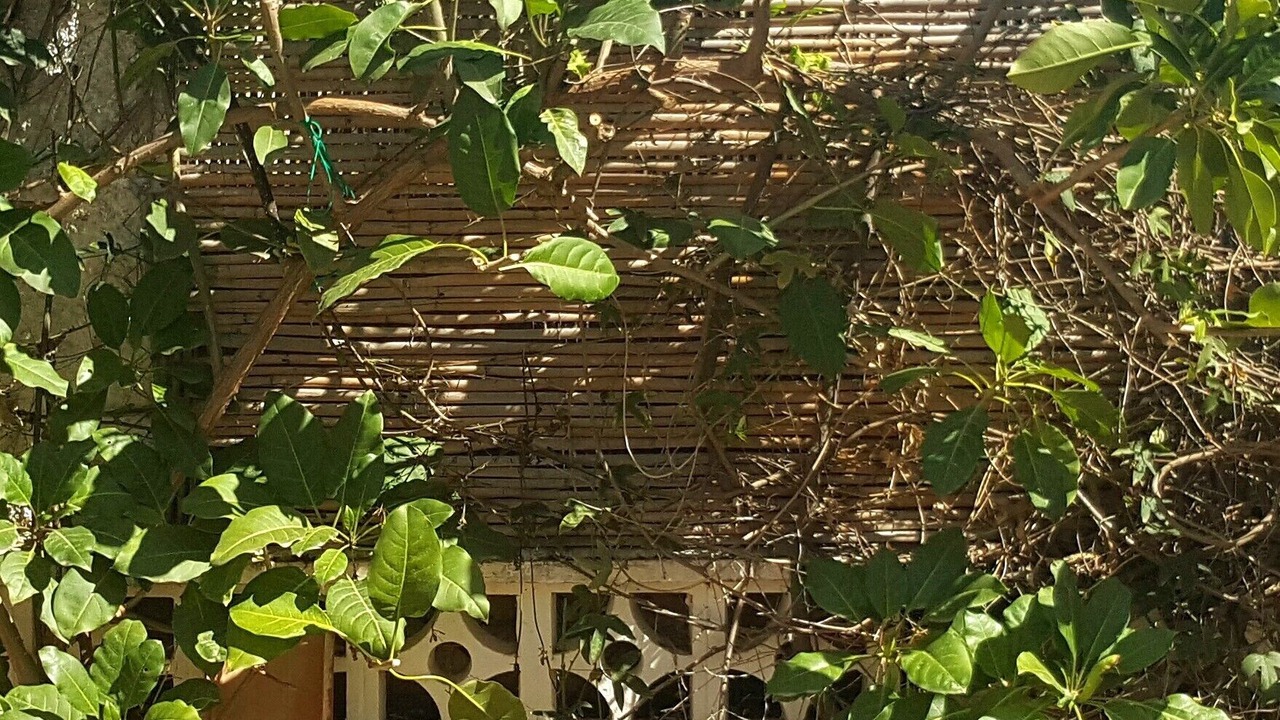 Photo of Outdoor in Bell Horizo