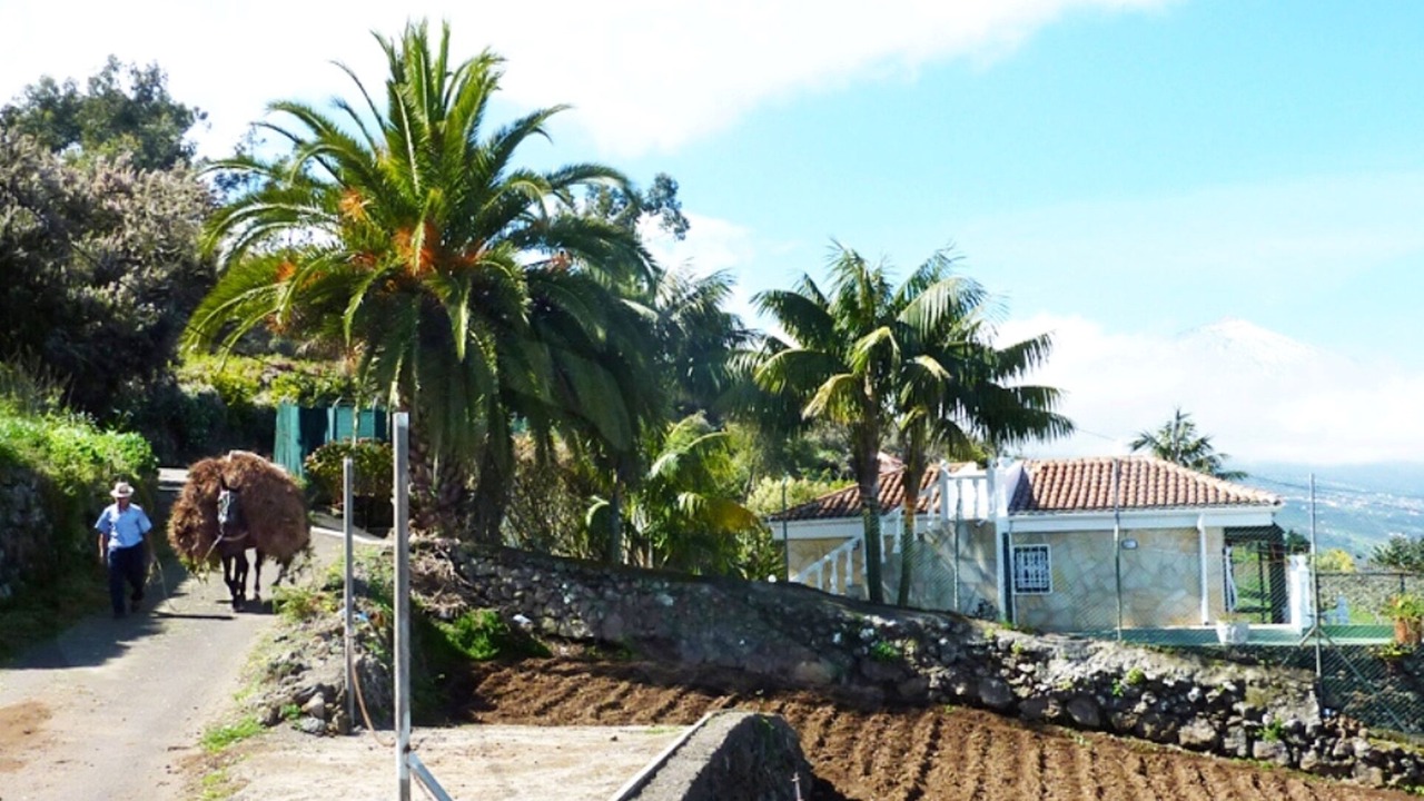 Photo of Outdoor in Las Cuevas