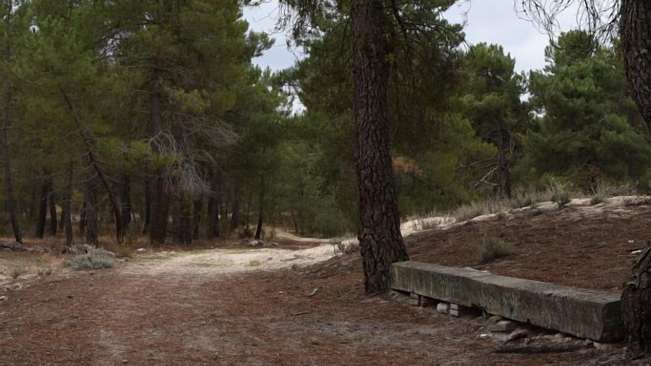 Photo of Outdoor in La Parrilla