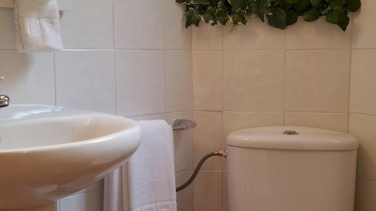 Photo of Bathroom in Toledo City Center