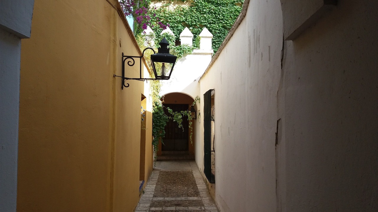 Photo of Outdoor in San Bartolome