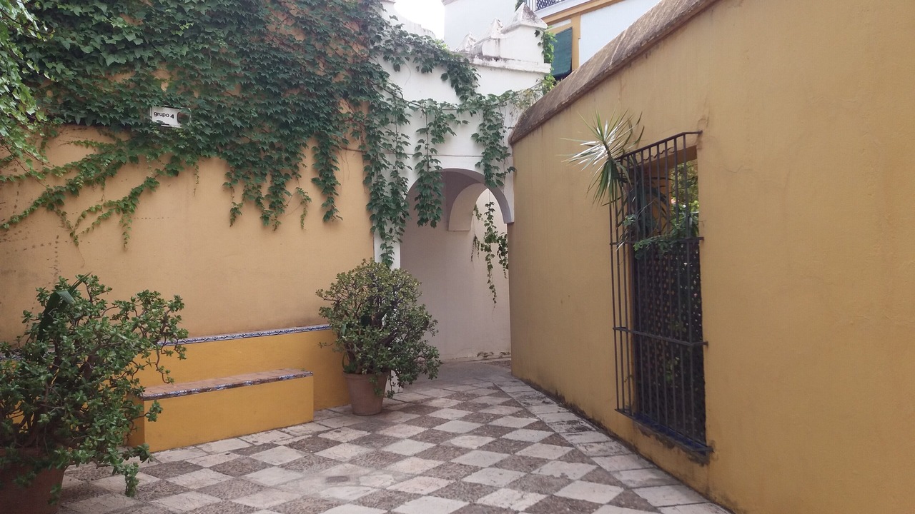 Photo of Outdoor in San Bartolome