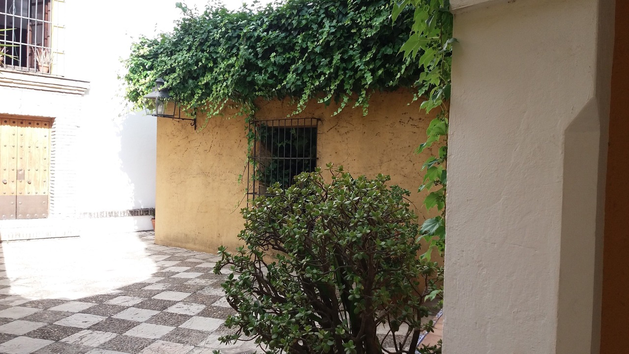 Photo of Outdoor in San Bartolome