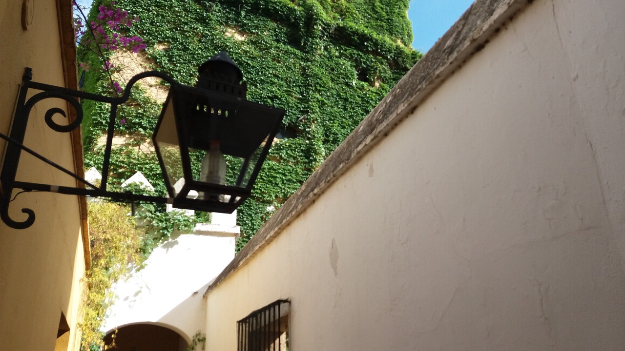 Photo of Outdoor in San Bartolome