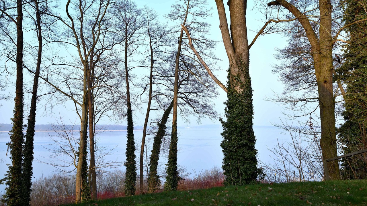 Photo of Outdoor in Schwielowsee