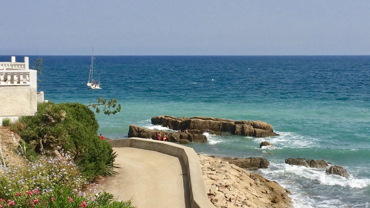 Photo of Others in Bahia Dorada