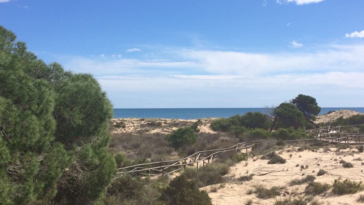 Photo of Others in La Marina