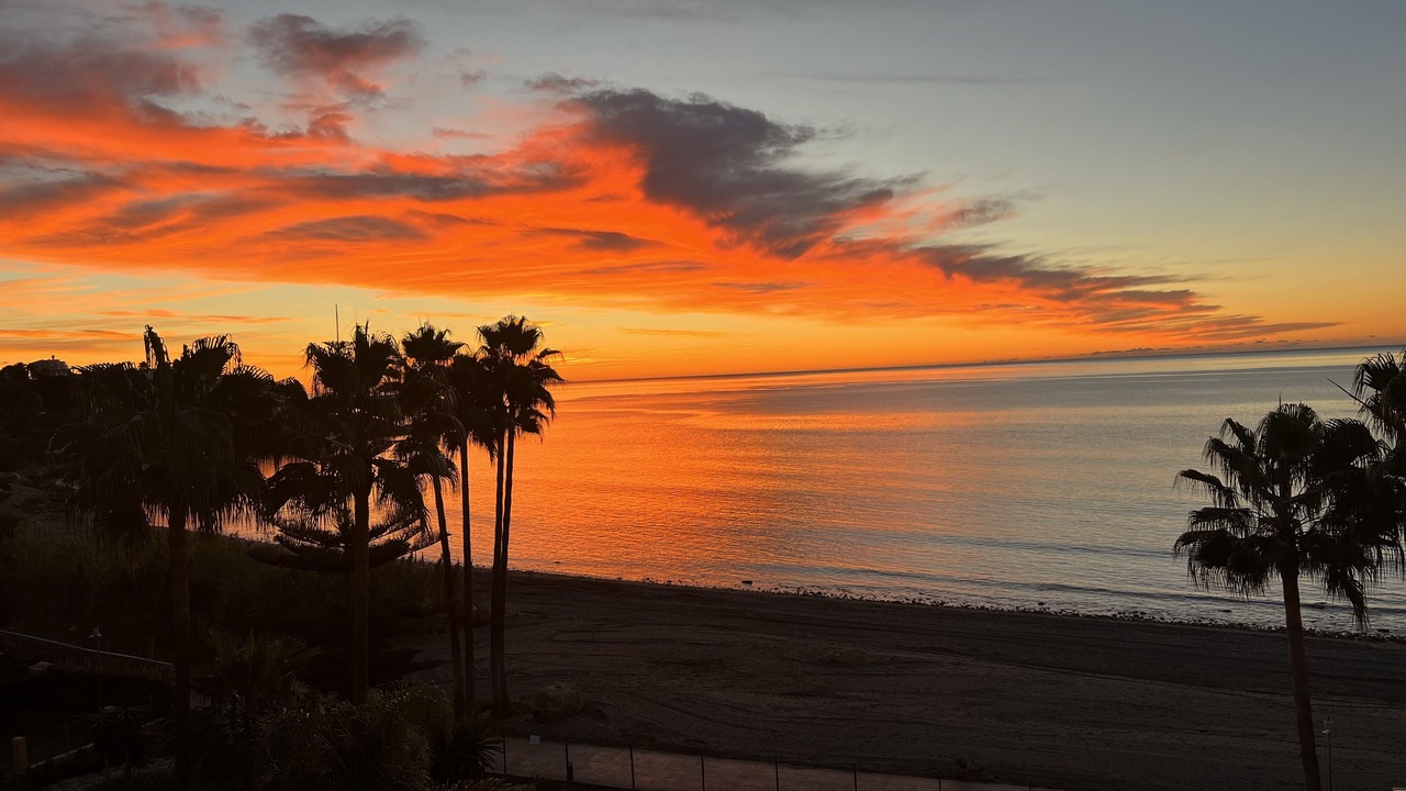 Photo of Others in Estepona