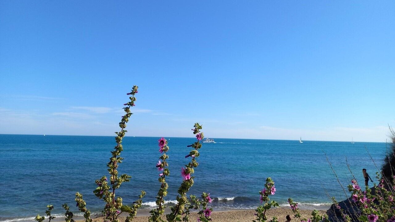Photo of Others in Cap d'Agde