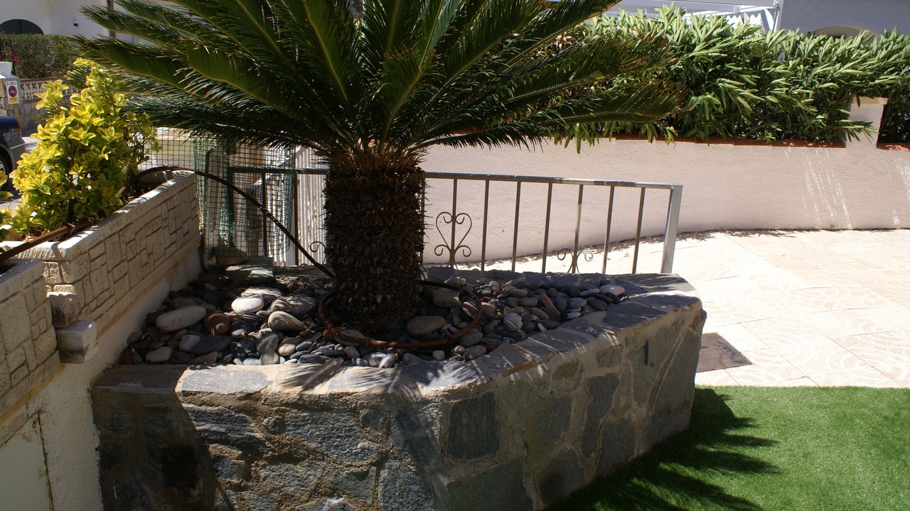 Photo of Outdoor in Miami Platja