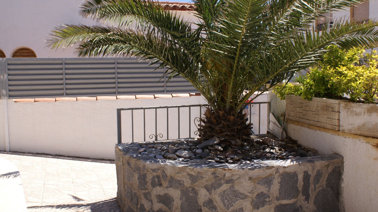 Photo of Outdoor in Miami Platja