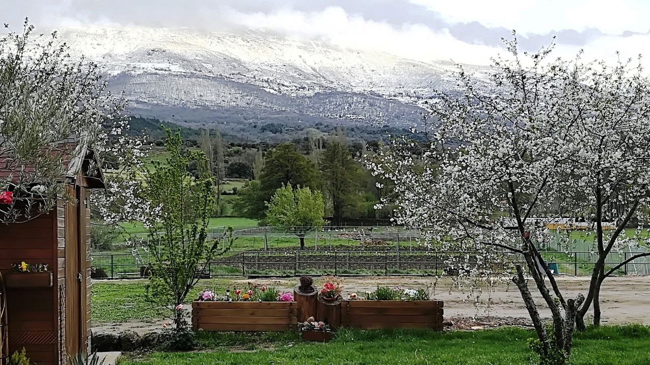 Photo of Outdoor in Bonilla de la Sierra