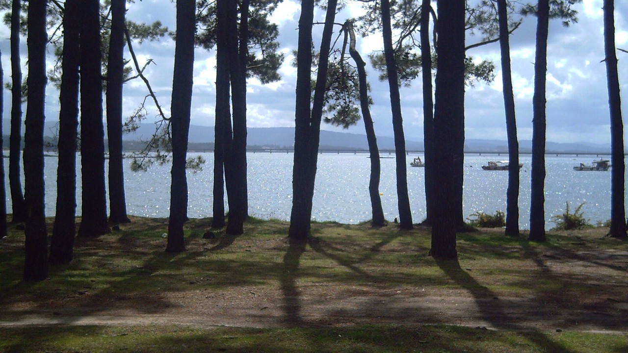 Photo of Others in Isla de Arosa