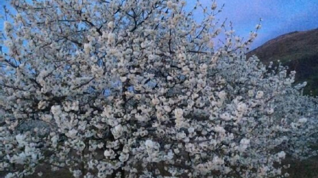 Photo of Outdoor in Navaconcejo
