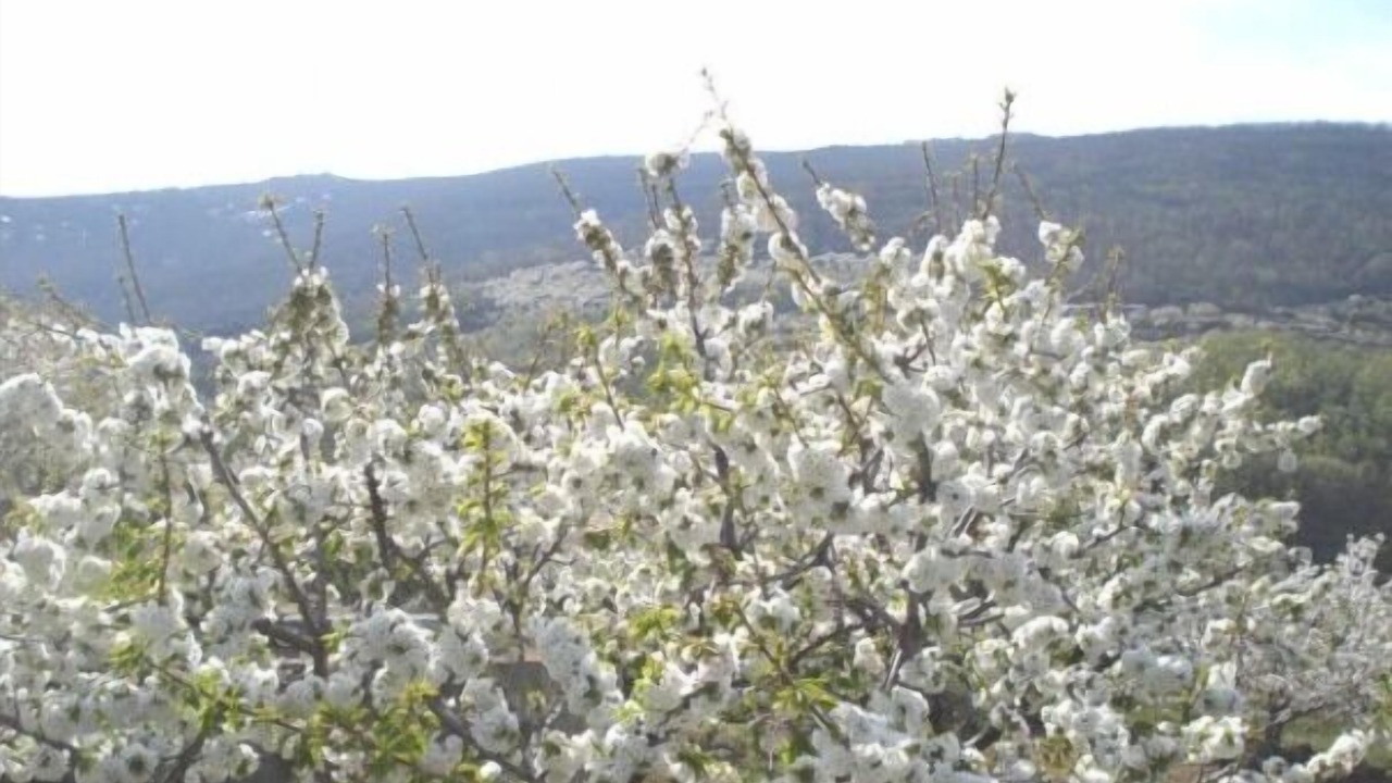 Photo of Outdoor in Navaconcejo