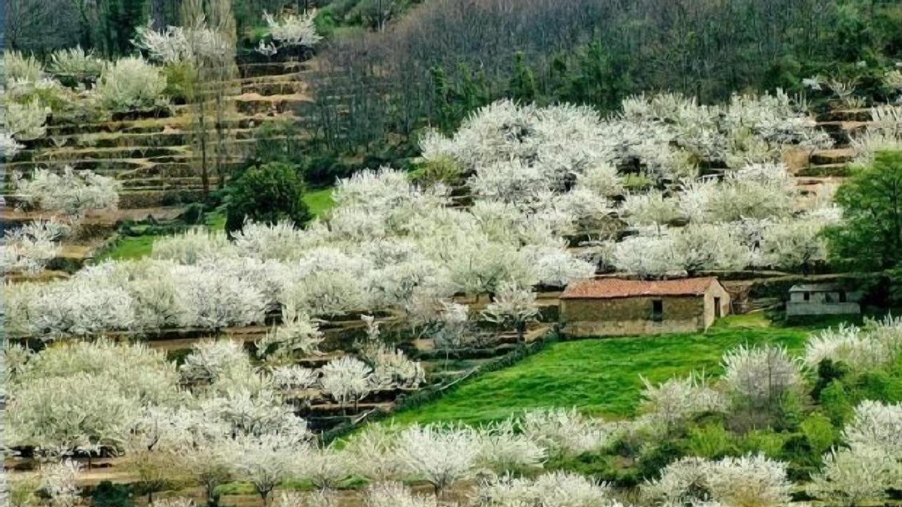 Photo of Outdoor in Navaconcejo