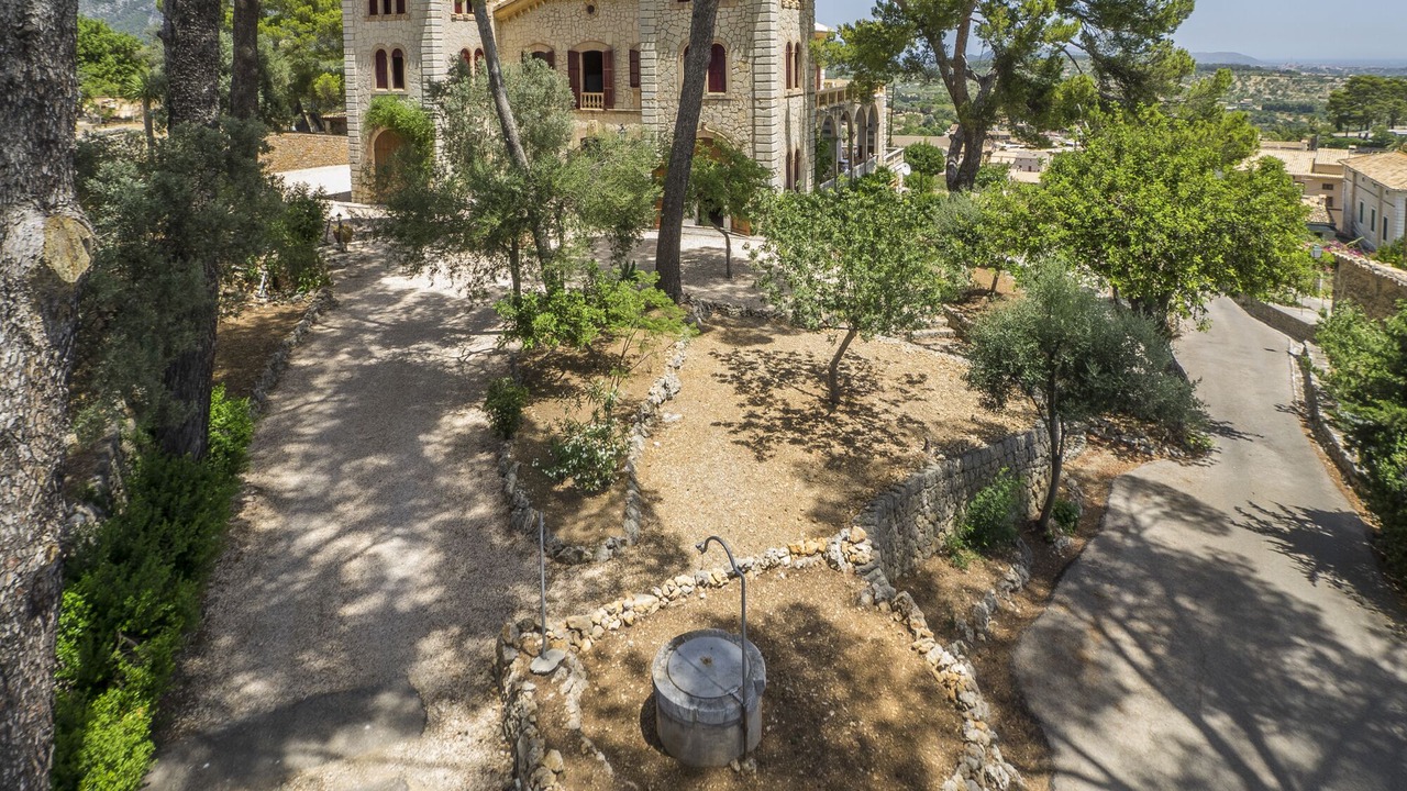 Photo of Outdoor in Selva