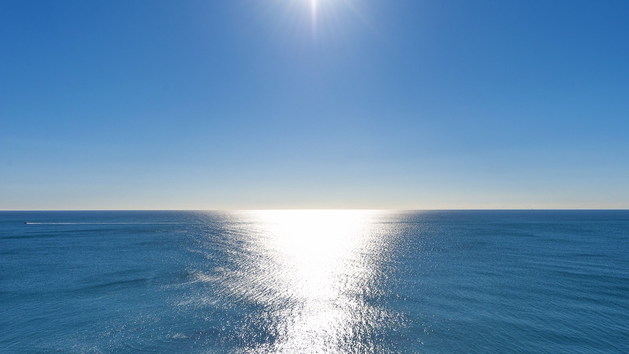 Photo of Others in Torrox Costa
