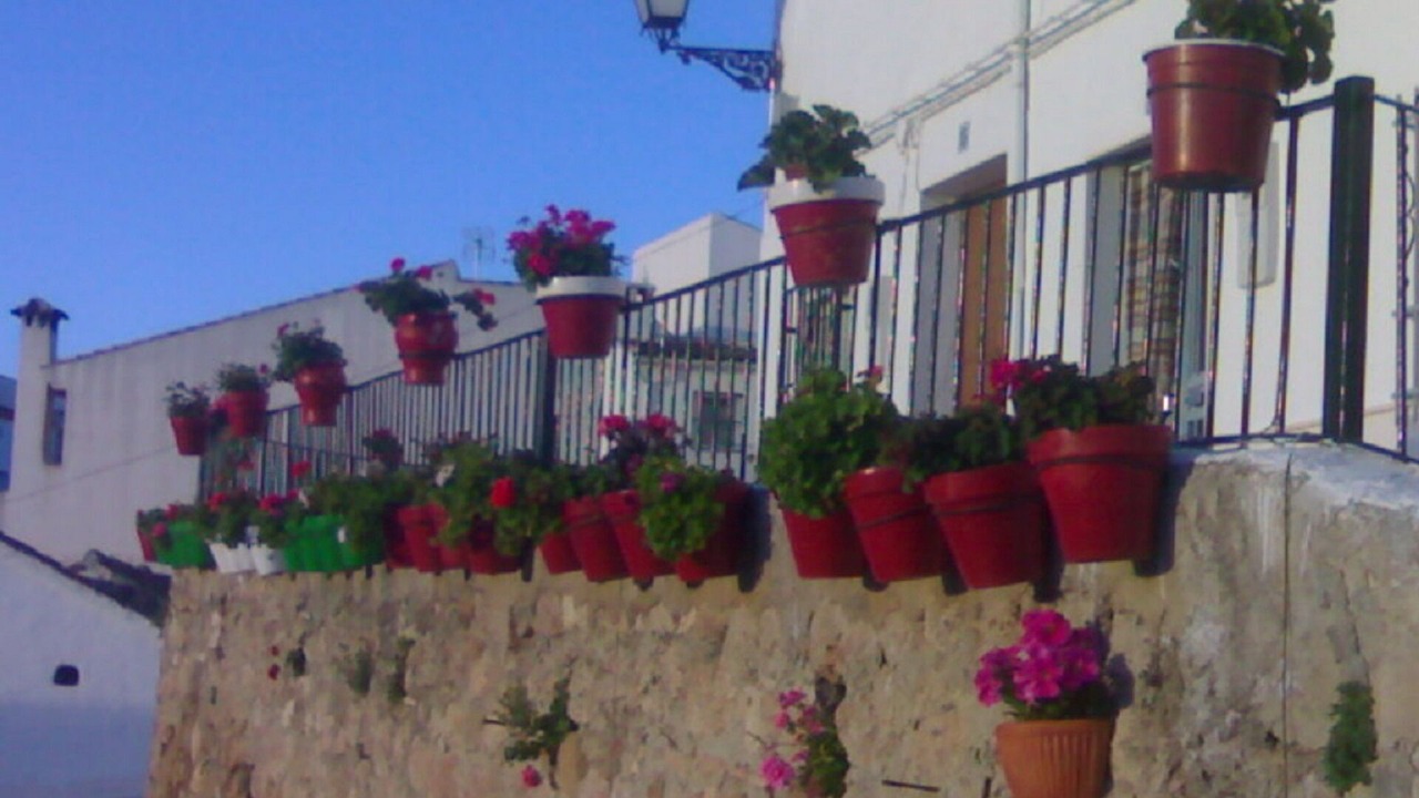 Photo of Outdoor in Carcabuey