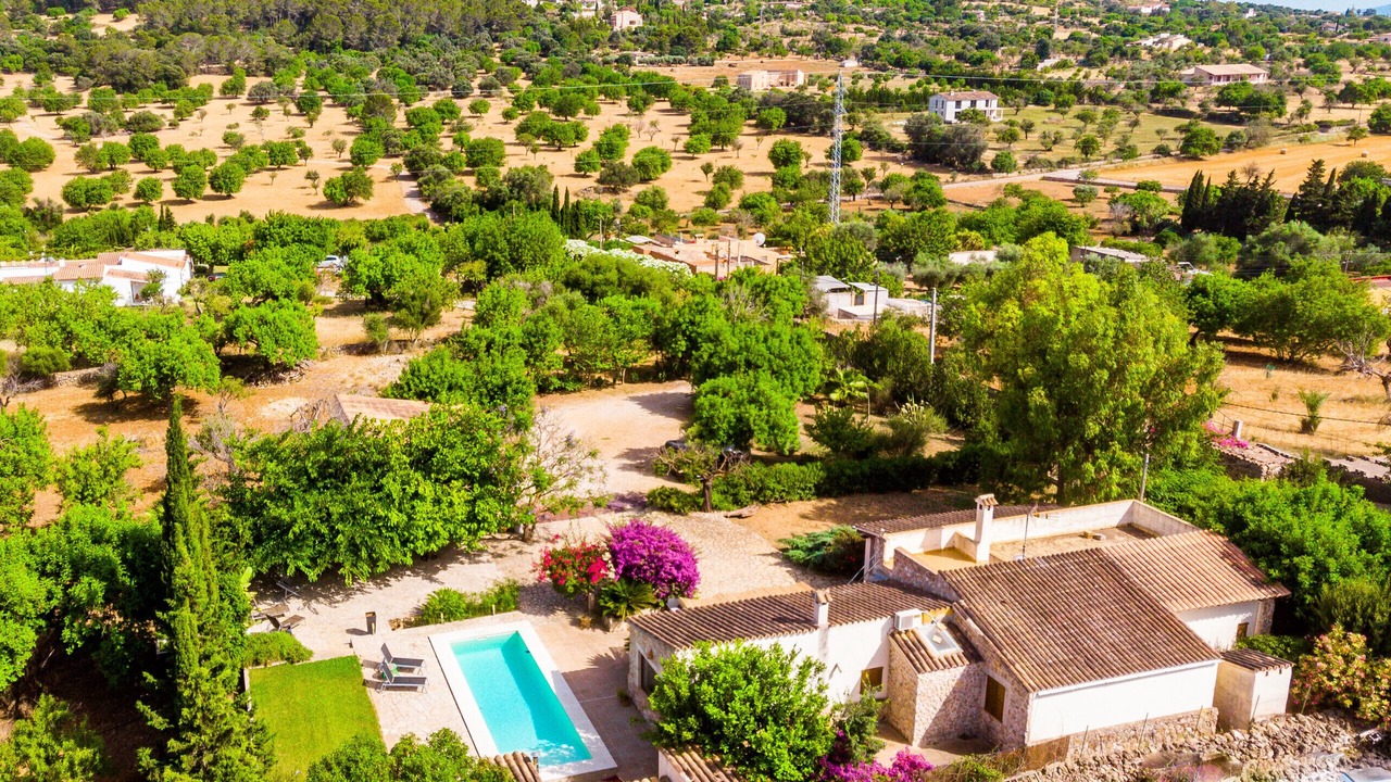 Photo of Outdoor in Selva